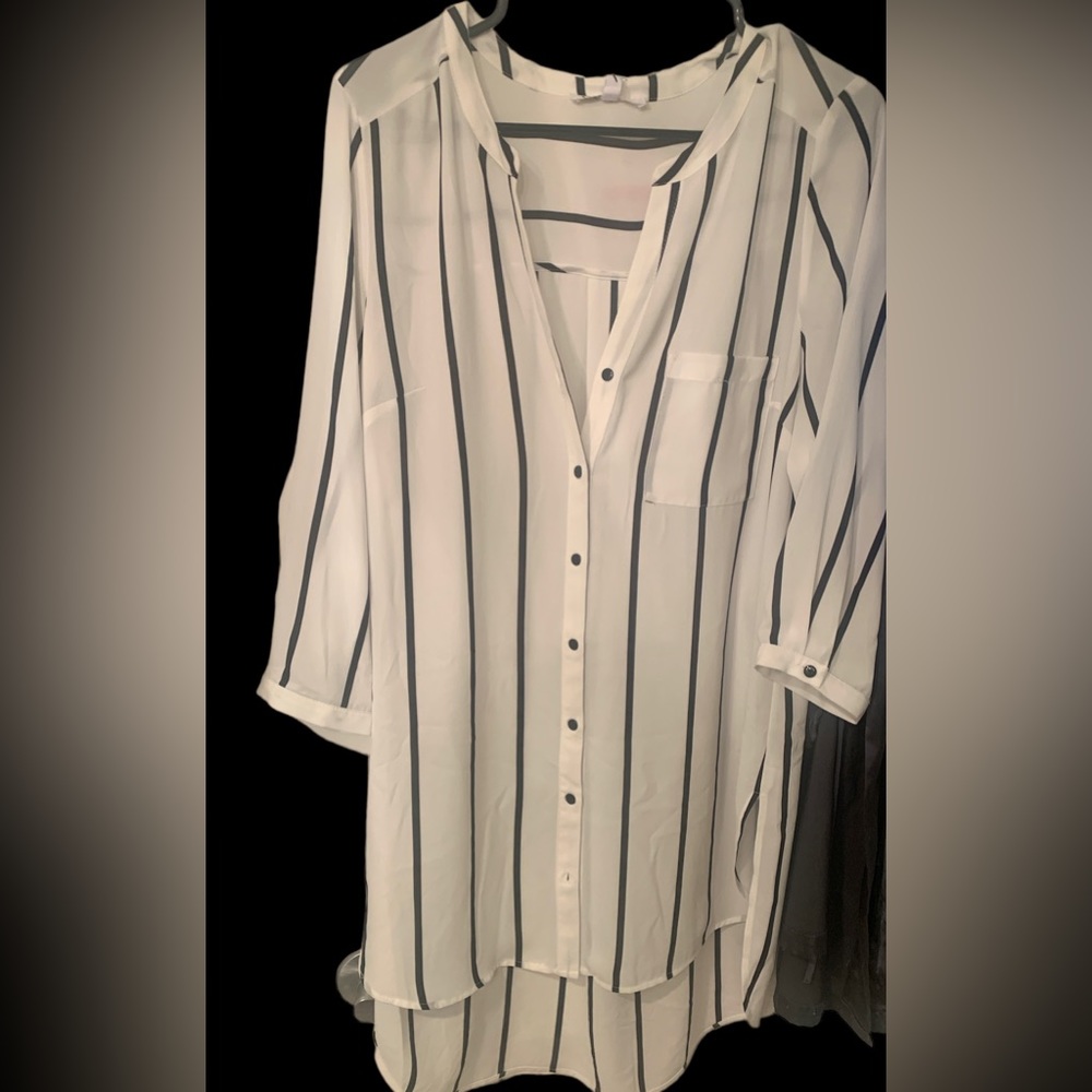 Sheer Button Down Tunic Blouse